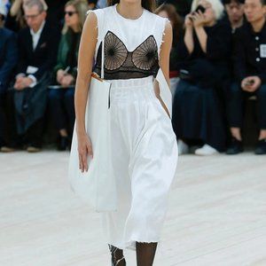 Brand New Celine Spring 2017 Spider Web dress